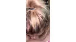 Littlelini Only Fans Leak 1