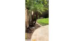 Nicole Aniston POV Fucking Neighbour In The Backyard Onlyfans