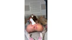 Skylarmaexo Nude Cosplay Butt Plug Play Onlyfans Video Leaked